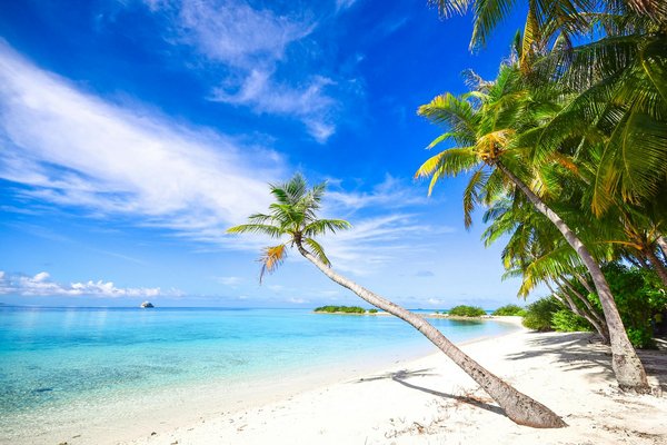 Les gîtes ruraux pour des vacances romantiques parfaites